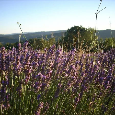 Ferienhaus Provence Luberon -paca- Acces Pmr-ancv *