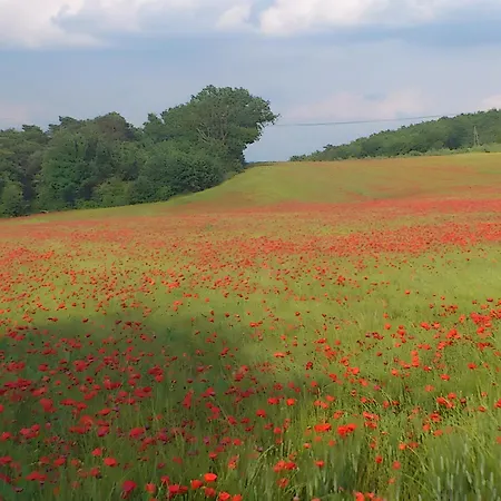 Provence Luberon Paca Pmr * Revest-des-Brousses