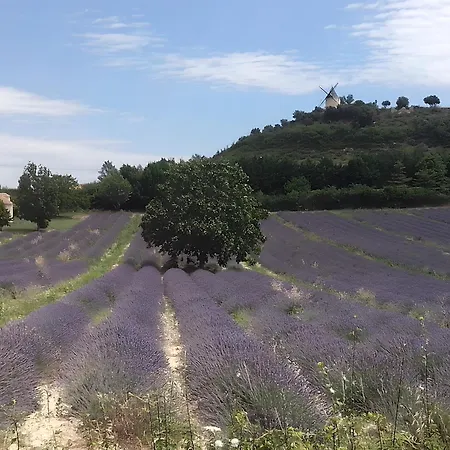 Provence Luberon Paca Pmr Revest-des-Brousses