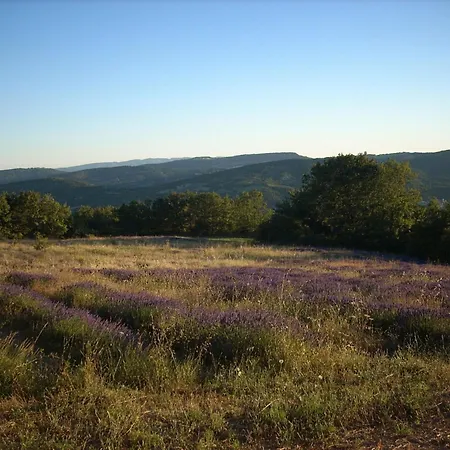 Provence Luberon Paca Pmr *