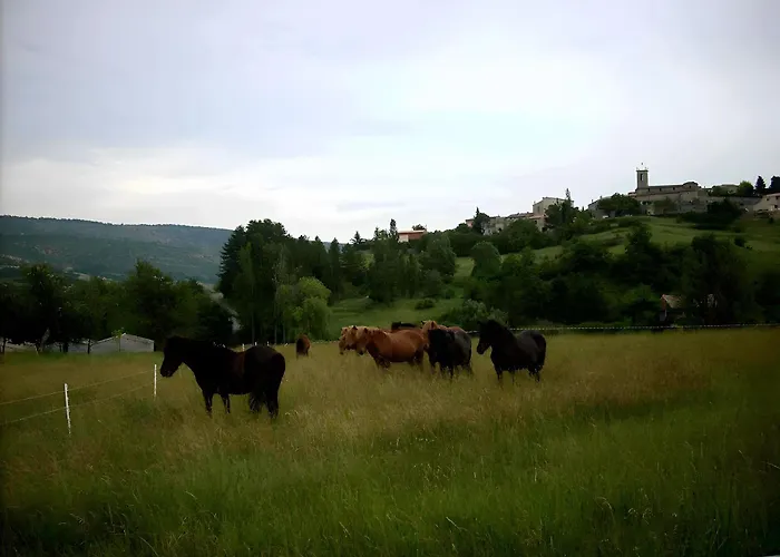 Provence Luberon Paca Pmr Hébergement de vacances Revest-des-Brousses
