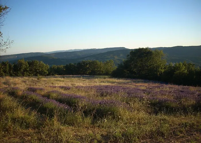 Provence Luberon Paca Pmr *
